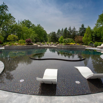 Barrington Hills, IL Freeform Perimeter Overflow with Perimeter Overflow Hot Tub