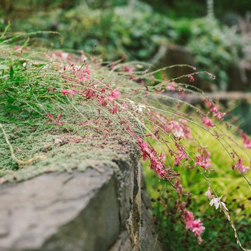 Audubon Certified Backyard Habitat
