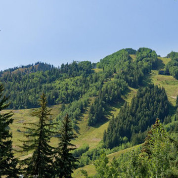 Views of Ajax Mt!