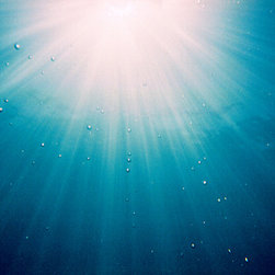 The Living Light: Grace - Fine Art Prints