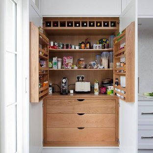 Transitional kitchen pantry designs - Example of a transitional kitchen pantry design in Dublin