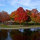 heather_poole3975805