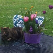Angela K. Anderson's photo