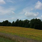 Vicki L O'Brien's photo