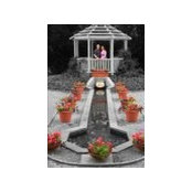 Michael Sibbalds's photo
