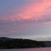 Stephen Read's photo
