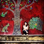 Angeline LiuQ's photo