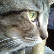 Diane Smith's photo