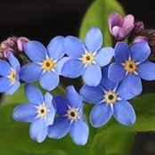 Barbara Wright's photo