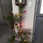 Charlotte Digiovanni's photo