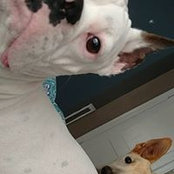 Samantha Smith's photo