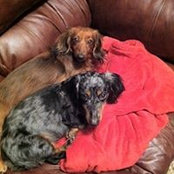 Debbie Wike's photo