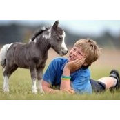 Neil Soman's photo
