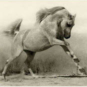 Monique Stone's photo
