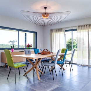 トゥールーズの広いエクレクティックスタイルのLDKの画像 (白い壁、セラミックタイルの床、グレーの床)