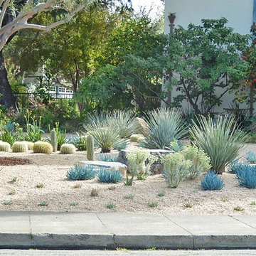 A Lawn to Xeriscape Garden Conversion