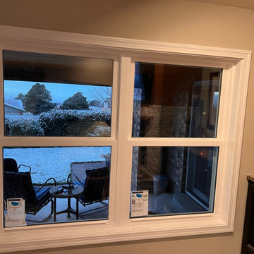 ProVia Endure Windows