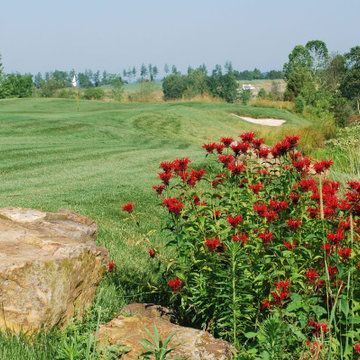 Drainage and Water Management