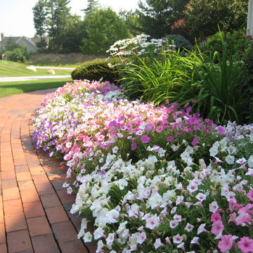 Annual Plantings