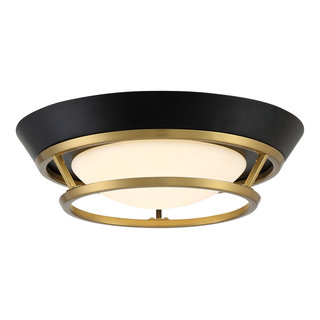 Beam Me Up! LED Flush Mount in Sable Bronze Patina - Transitional ...