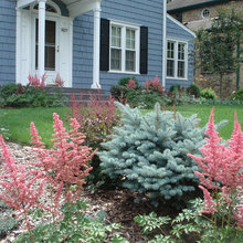 Shoreview Landscape