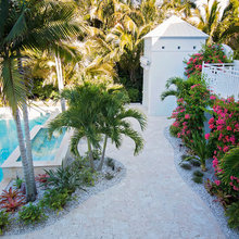 Nicaraguan Garden