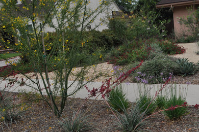 This is an example of a southwestern landscaping in Los Angeles.