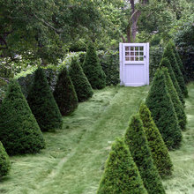 Topiary