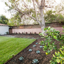 Front yard