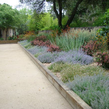 Backyard for parents