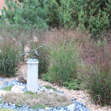 Oriental Spice Xeriscape in Lakewood