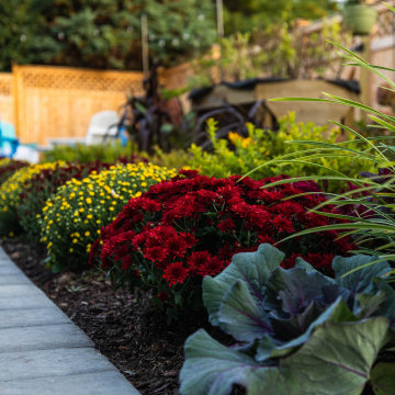 Intimate Patio Setting