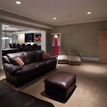 Basement living room