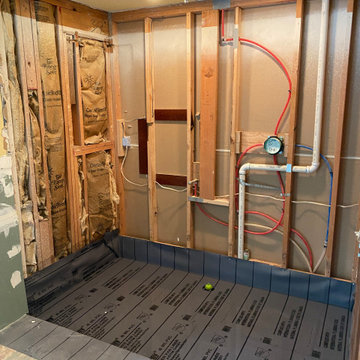 Master bathroom remodel in Woodinville