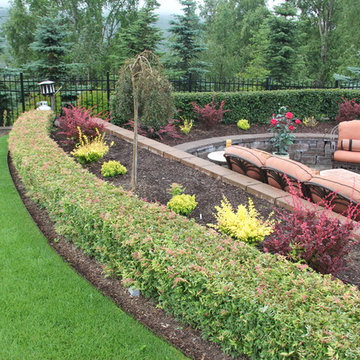 Lawn and Landscape