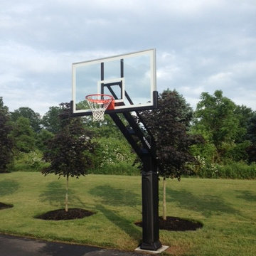Dennis D's Pro Dunk Diamond Basketball System on a 40x30 in New Hope, PA