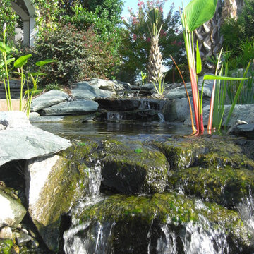water feature with a purpose