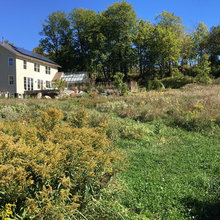 Greenhouses