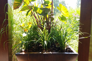 Design ideas for a contemporary partial sun backyard landscaping in New York for summer.