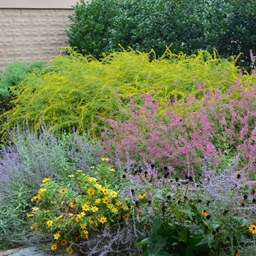 Thriving Pollinator Garden for Hampden Townhome