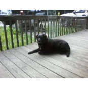 Penni Robbins's photo
