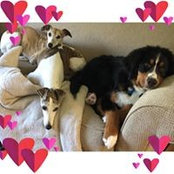 Tracey LaRowe's photo