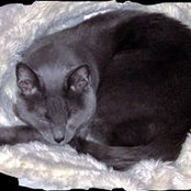 Leigh Deacon's photo