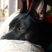 Jon Treahy's photo