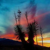 Foto von Wendy Ryan