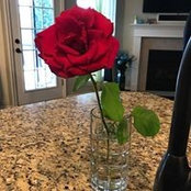 Jamie Maloy LePage's photo