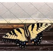 Debra Hendren's photo