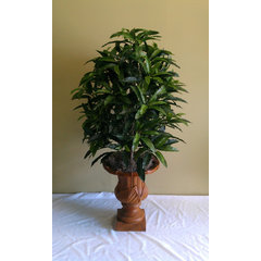 Emerald Silk Plants