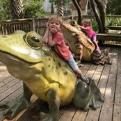 Carey Fine's photo