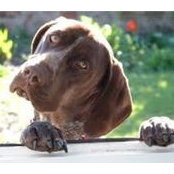 Roberta Marck's photo